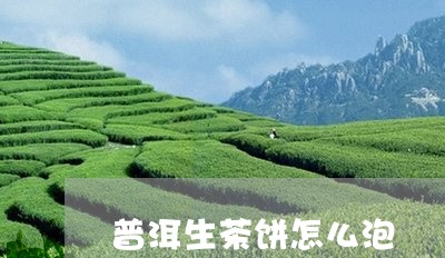 普洱生茶饼怎么泡/2023033006481