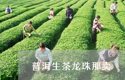 普洱生茶龙珠那卖/2023032966148