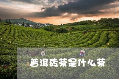 普洱砖茶是什么茶/2023041353037