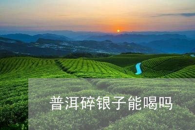 普洱碎银子能喝吗/2023041338473