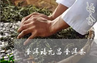 普洱福元昌普洱茶/2023041062816