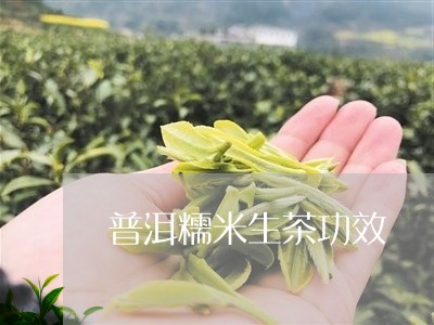 普洱糯米生茶功效/2023032925949