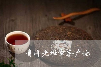 普洱老班章茶产地/2023032836382