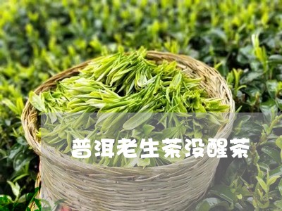 普洱老生茶没醒茶/2023032917250