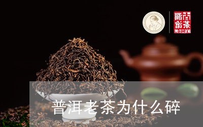 普洱老茶为什么碎/2023032994937