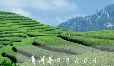 普洱茶00603/2023041280605