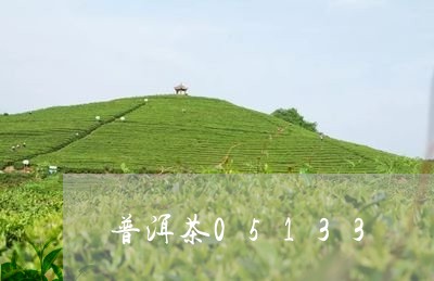 普洱茶05133/2023041244836