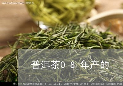 普洱茶08年产的/2023033028260