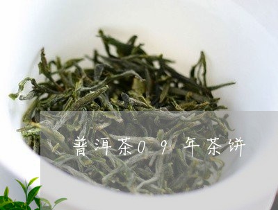 普洱茶09年茶饼/2023041160483