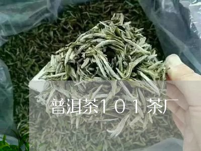 普洱茶101茶厂/2023041038159