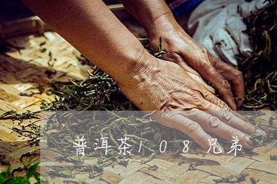 普洱茶108兄弟/2023041033947