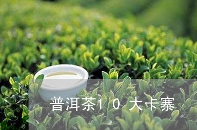 普洱茶10大卡寨/2023033147259