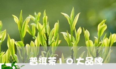 普洱茶10大品牌/2023041396170