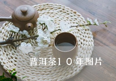 普洱茶10年图片/2023041058391