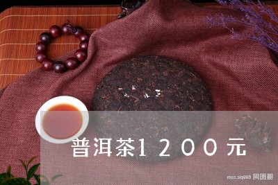 普洱茶1200元/2023031769170