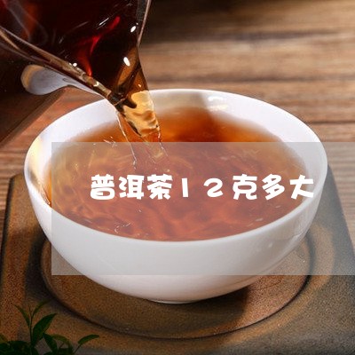 普洱茶12克多大/2023041048604