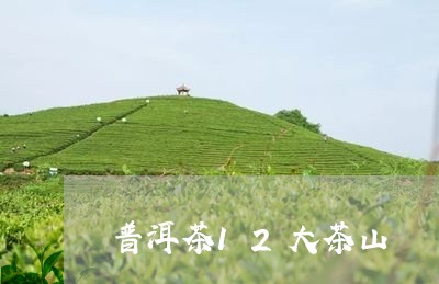 普洱茶12大茶山/2023041033726