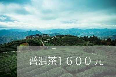 普洱茶1600元/2023041279502