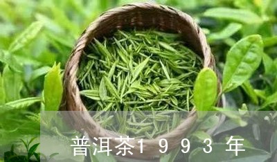 普洱茶1993年/2023041170815