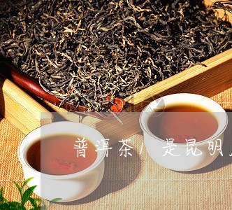 普洱茶1是昆明厂/2023040190726