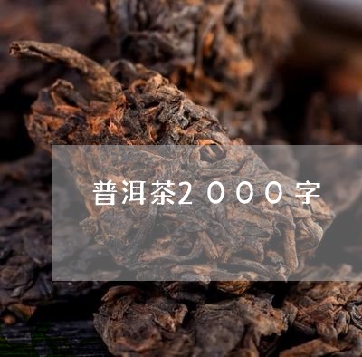 普洱茶2000字/2023041195036