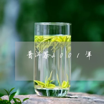 普洱茶2001年/2023041053815