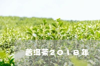 普洱茶2018年/2023041239405