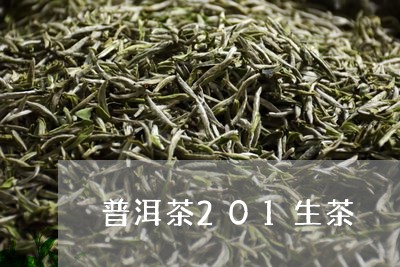 普洱茶201生茶/2023031788271