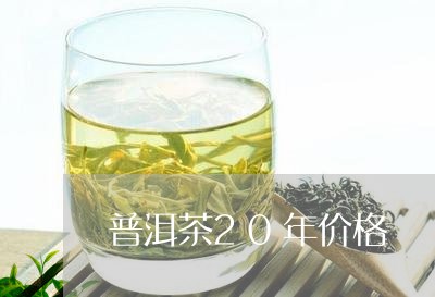 普洱茶20年价格/2023031824157