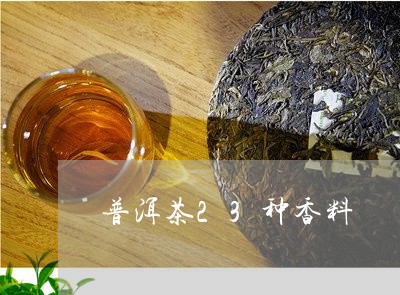 普洱茶23种香料/2023041219716