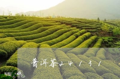 普洱茶24131/2023041226279