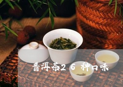 普洱茶26种口味/2023031851813