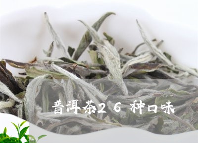 普洱茶26种口味/2023041371724