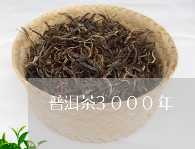 普洱茶3000年/2023031682736