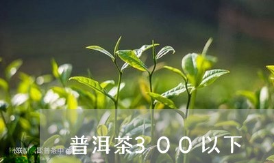 普洱茶300以下/2023041097493