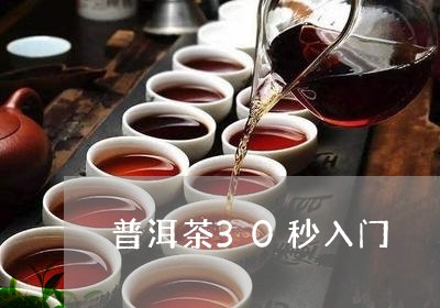 普洱茶30秒入门/2023040912703