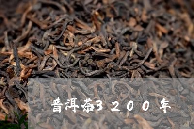 普洱茶3200年/2023041082828