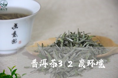 普洱茶32度环境/2023041038169