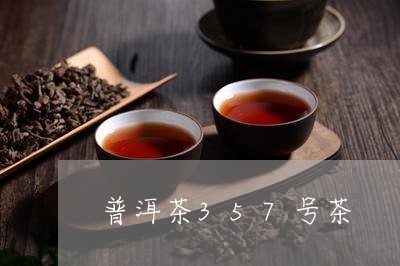 普洱茶357号茶/2023041295169