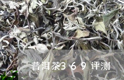 普洱茶369评测/2023041026279