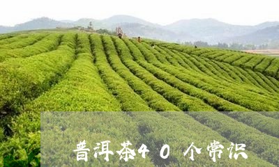 普洱茶40个常识/2023041100715