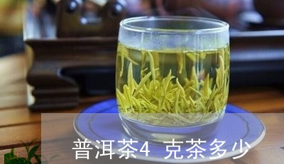 普洱茶4克茶多少/2023041111723