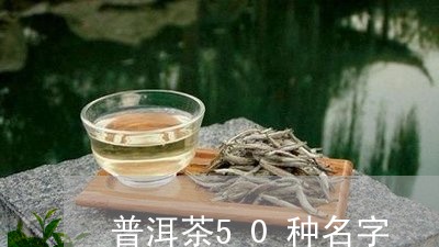 普洱茶50种名字/2023040978279