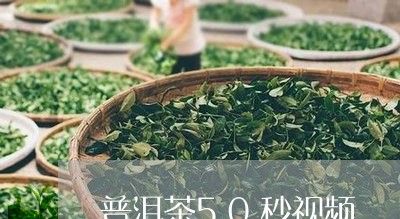 普洱茶50秒视频/2023041469393