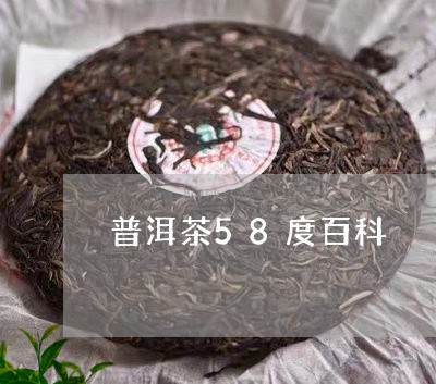 普洱茶58度百科/2023033092946