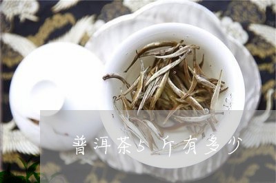 普洱茶5斤有多少/2023040100614