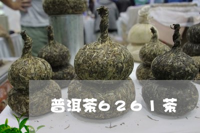 普洱茶6261茶/2023041258171