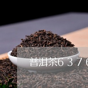 普洱茶63763/2023031714947