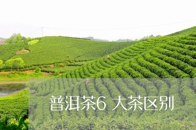 普洱茶6大茶区别/2023041169171