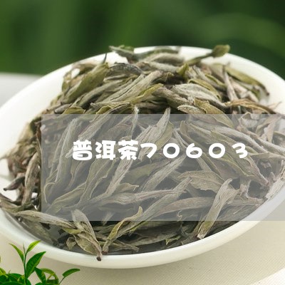 普洱茶70603/2023031743837